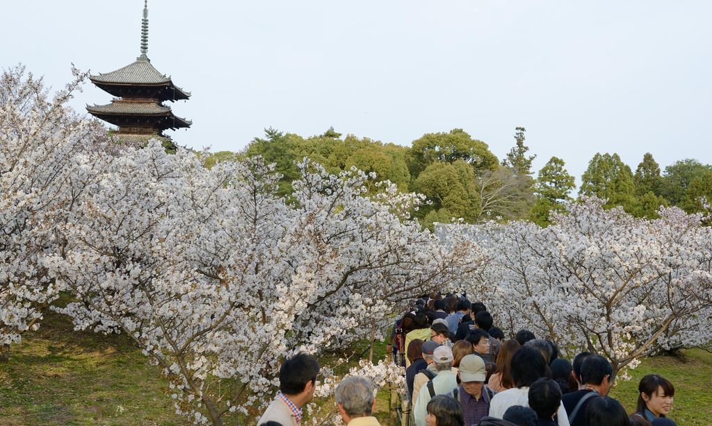 kyoto