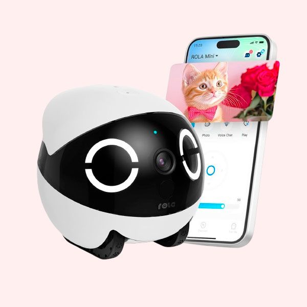 El robot que juega, vigila y te conecta con tu mascota cuando no estás