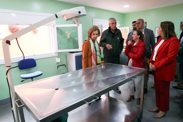 Reina Sofía suelta de tortugas en Tenerife