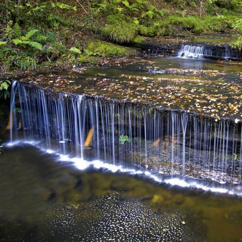 Arroyo en el Monte Hijedo.