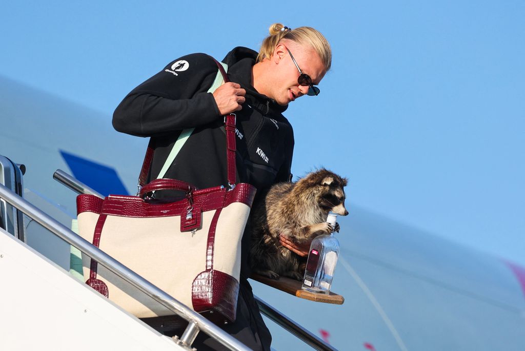 Erling Haaland con un mapache disecado desciende del avión al llegar al aeropuerto de Oslo