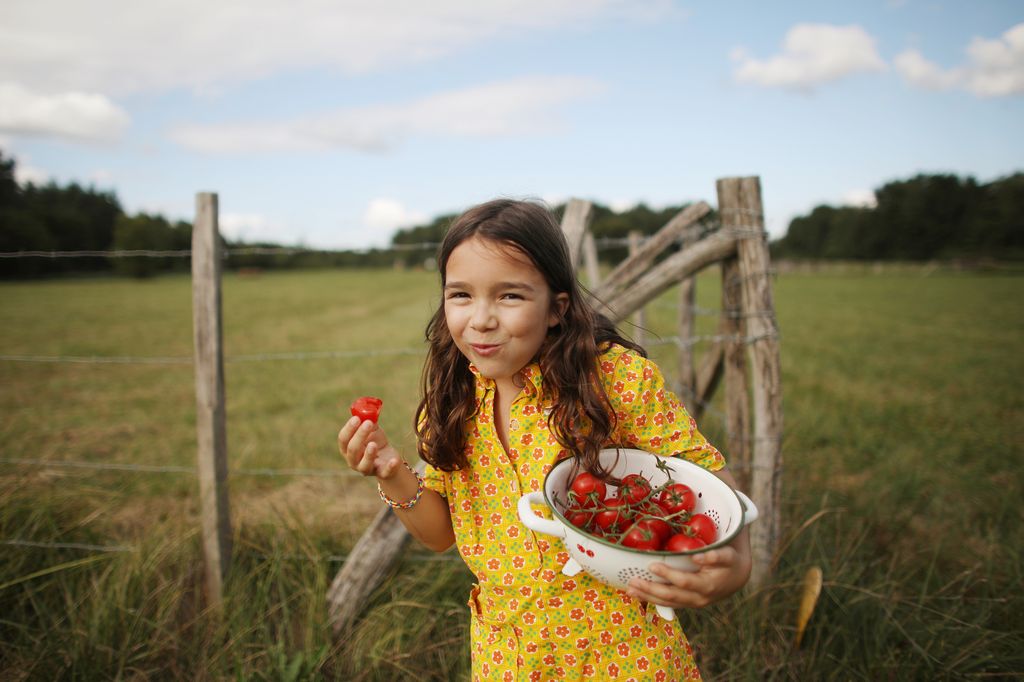 Niña comiendo tomates de la huerta feliz