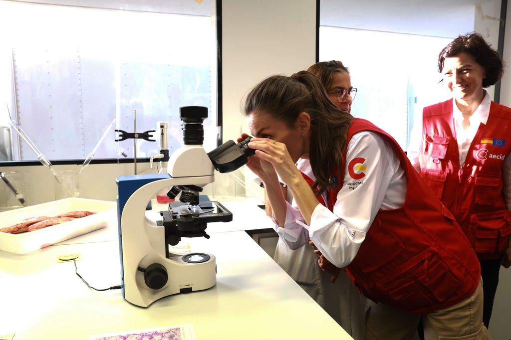 La reina Letizia conoce varios proyectos para la economía azul en el Ocean  Science Centre Mindelo (Isla de San Vicente)