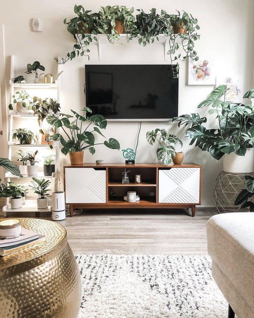 Plantas en casa