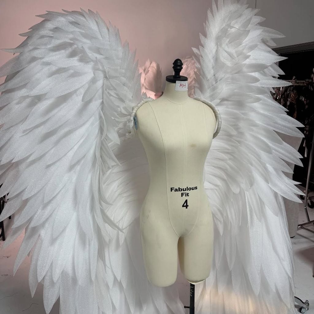 Las codiciadas alas de ángel