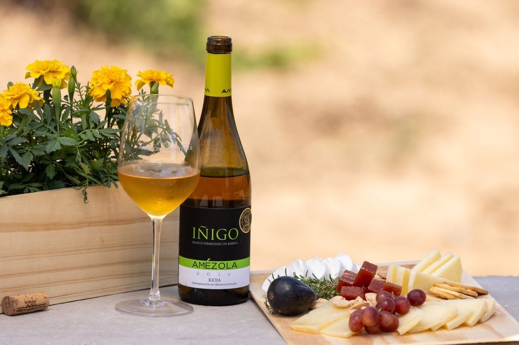 Una cata en Bodegas Amézola de la Mora y más planes para una despedida de soltera original