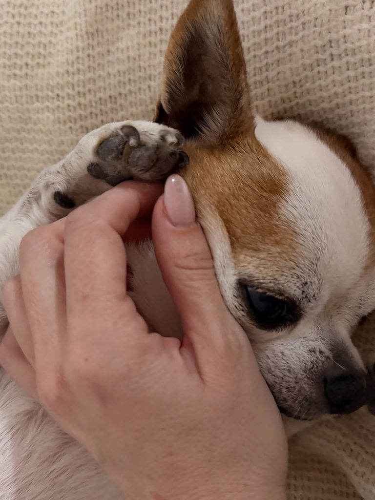 "No me imagino la vida sin ti, mi Coqui"