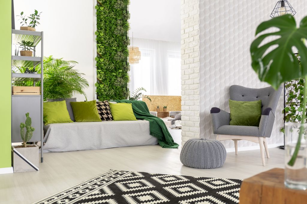 Salón rebosante de plantas, entre ellas las que forman parte del frondoso jardín vertical