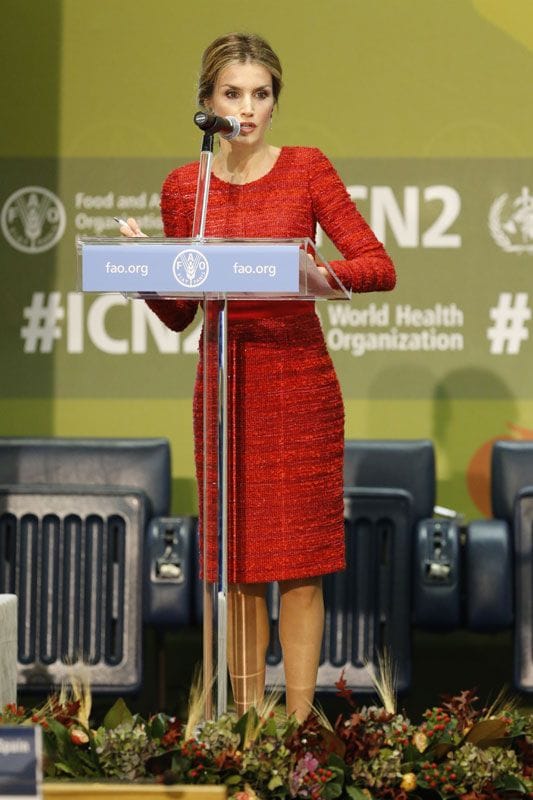 La Reina ha participado en cumbres mundiales de las Naciones Unidas -como la II Conferencia Internacional sobre Nutrición de la FAO- en donde mostró su compromiso y dio la voz de alarma ante el hambre y la malnutrición: 'Es inaceptable que más de 850 millones de personas padezcan hambre crónica y más de 1.400, sobrepeso y obesidad'
