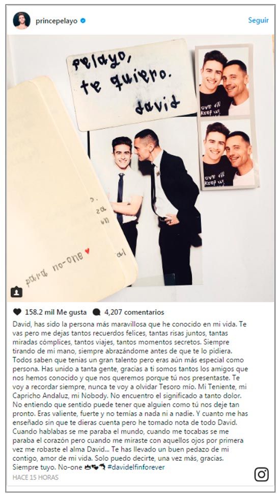 david_delfin_despedidas_instagram_7z