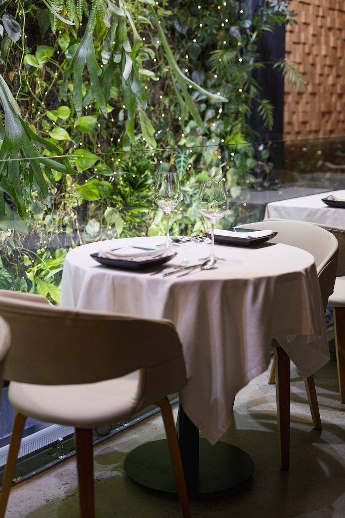 Terraza de De la O