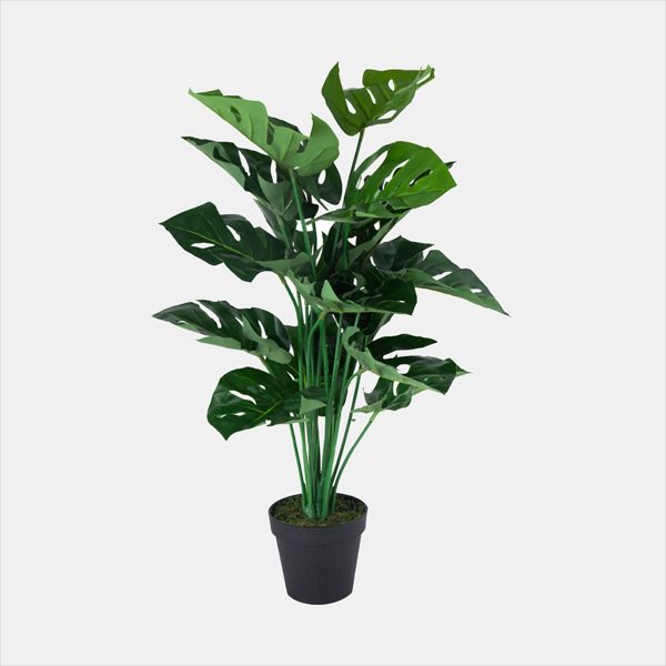 planta alta oficina