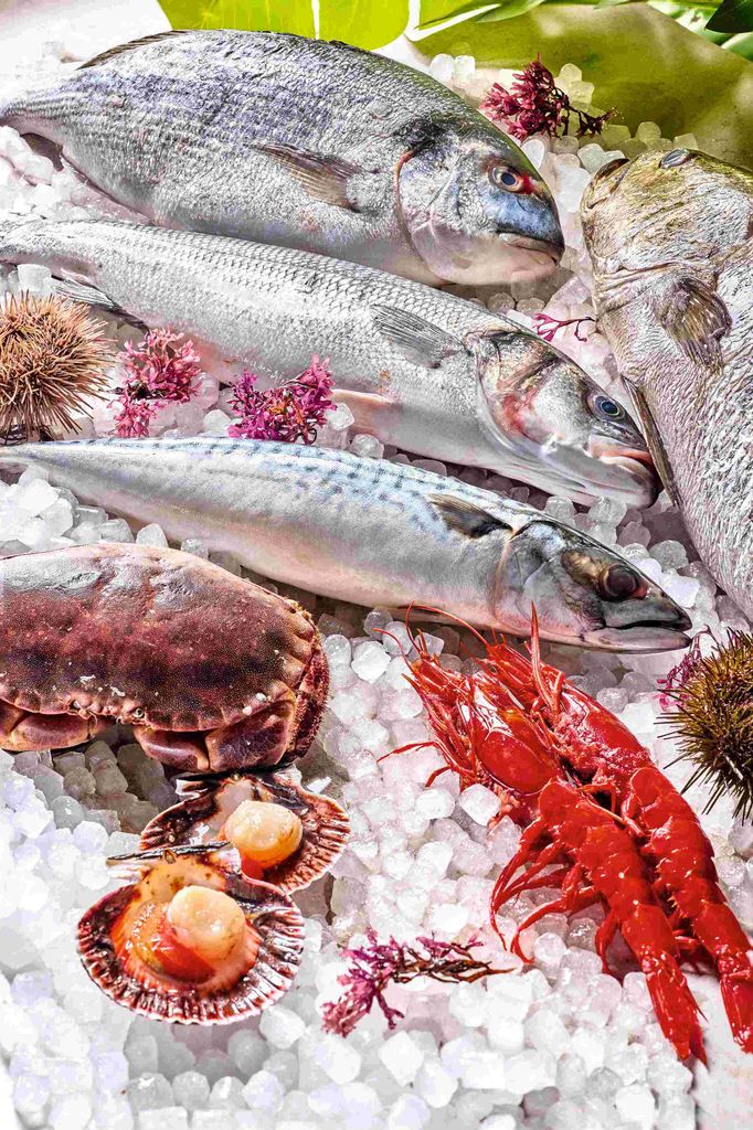 Pescados para ceviche, Piscomar
