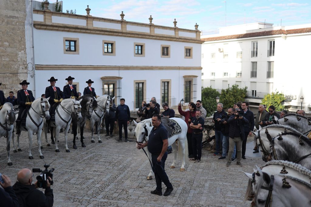 Emotiva imagen de "Yute", el caballo de Álvaro Domecq sin jinete, junto a los caballos de la Real Escuela de Arte Ecuestre en el funeral por el querido rejoneador y ganadero
