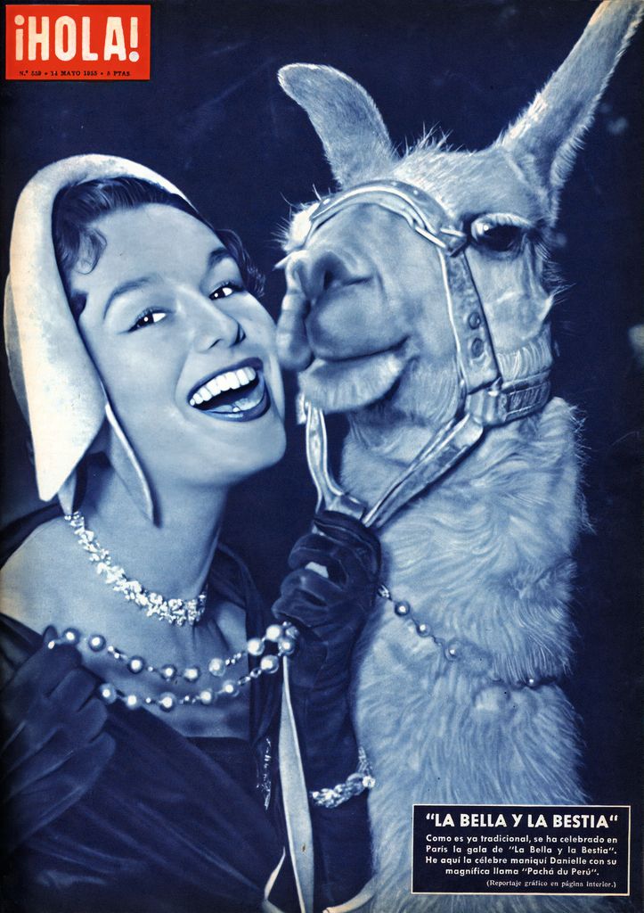 Media Image