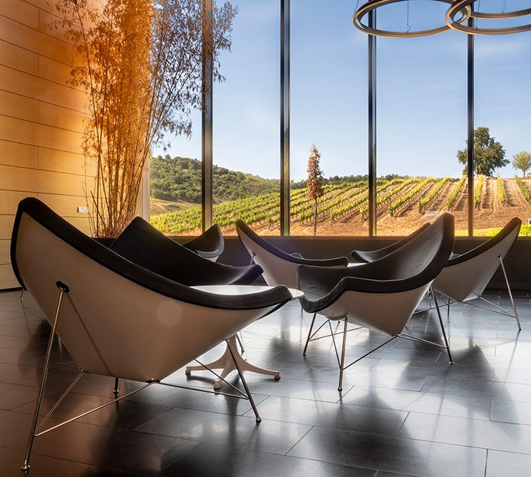 Moderno espacio del interior de la bodega Cepa 21