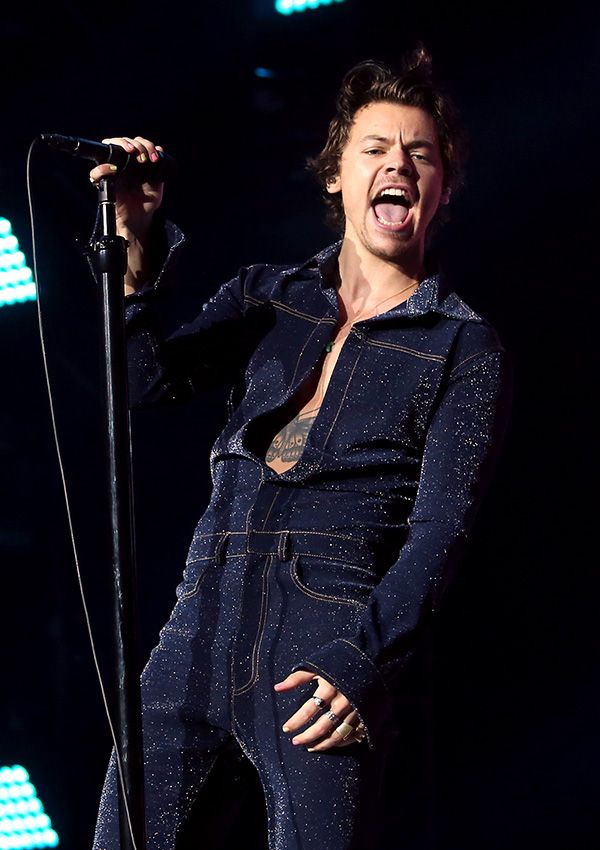 harrystylesalledmartinez