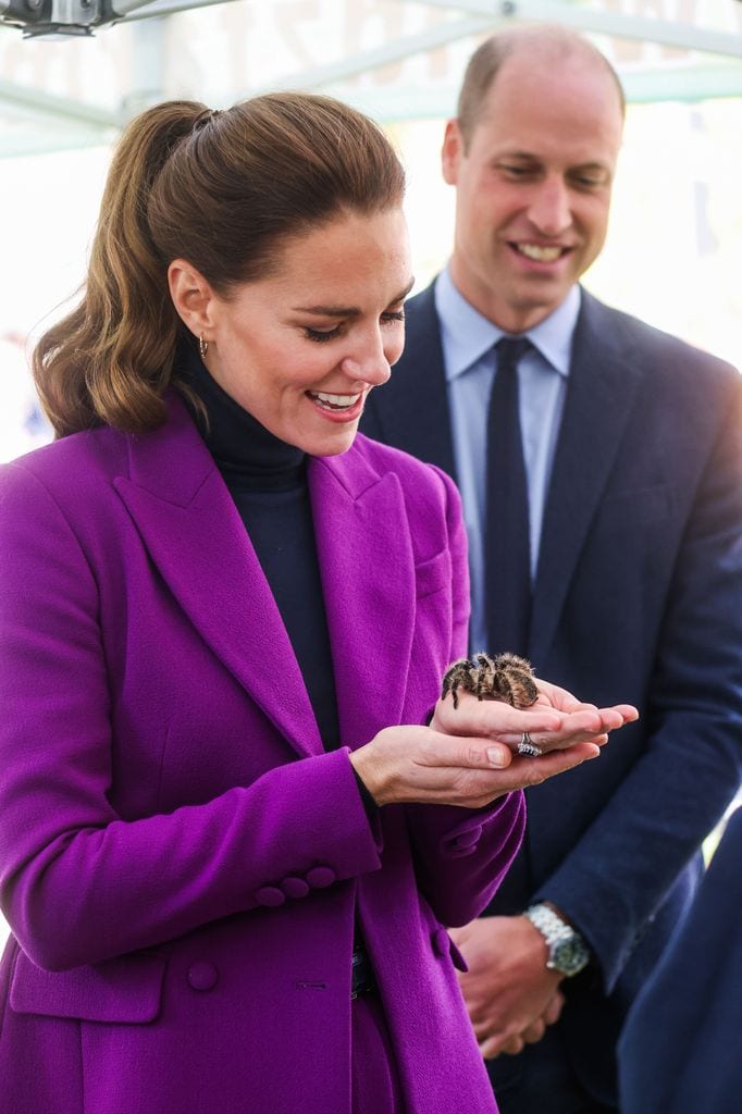 Kate Middleton se mostró encantada hace cuatro años cuando tocó a una tarántula