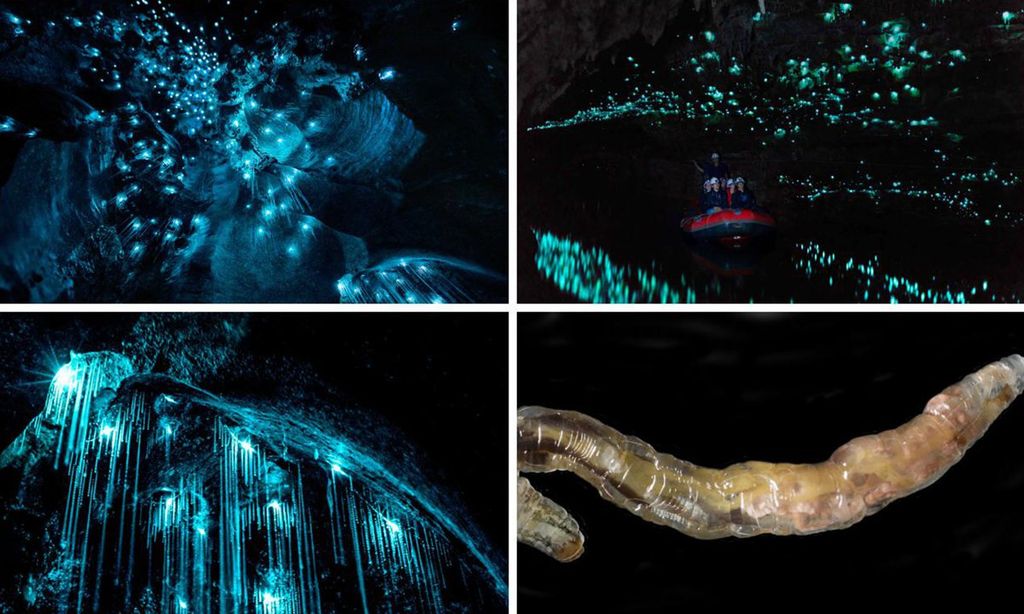 GettyImages-1188470082-Collage-U57748248444UYo