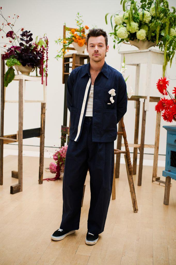 Harry Styles sorprendió a sus fans con un video sumamente significativo