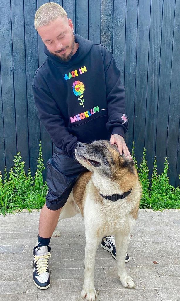 j balvin perro