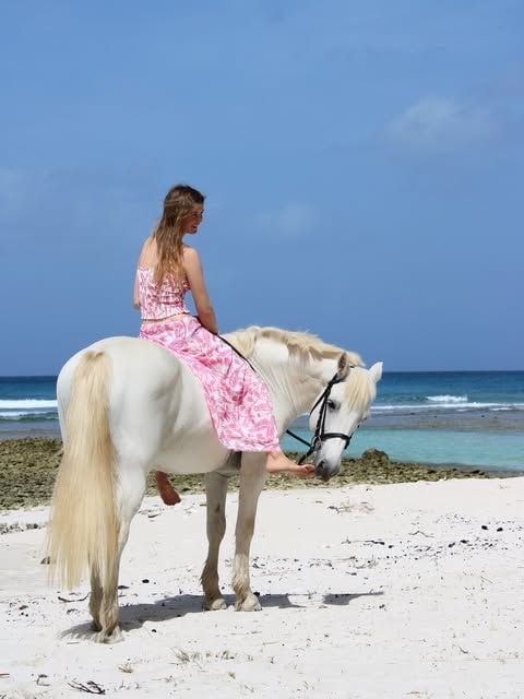 Lady Araminta Spencer Churchill 