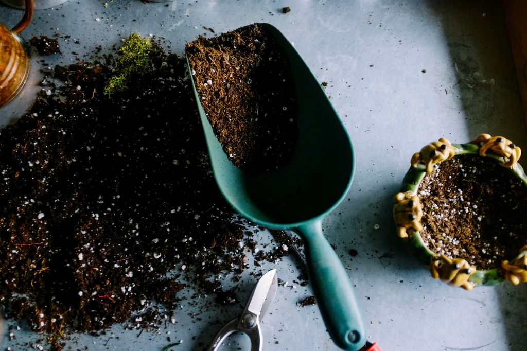 Sustrato para plantas