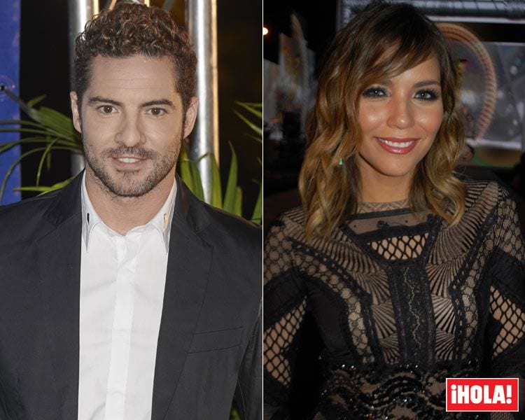 David Bisbal ha confirmado su relación con Rosanna Zanetti
