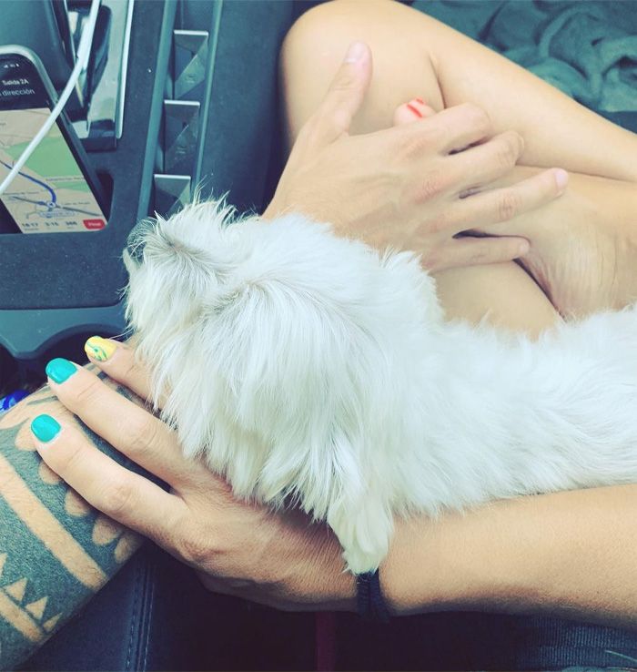 Nerea Garmendia tiene nuevo novio