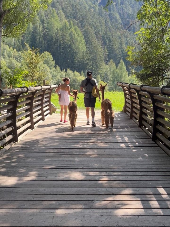 Millie Bobby Brown, su esposo Jake y su bebé, de vacaciones en las Dolomitas, en Italia.