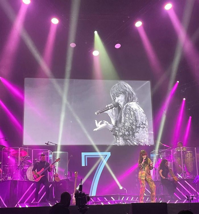 Sara Carbonero en el concierto de Vanesa Martín