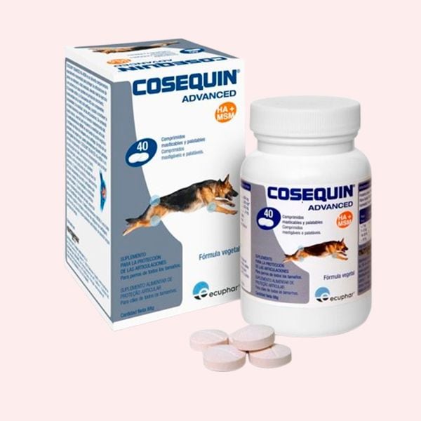Cosequin Taste