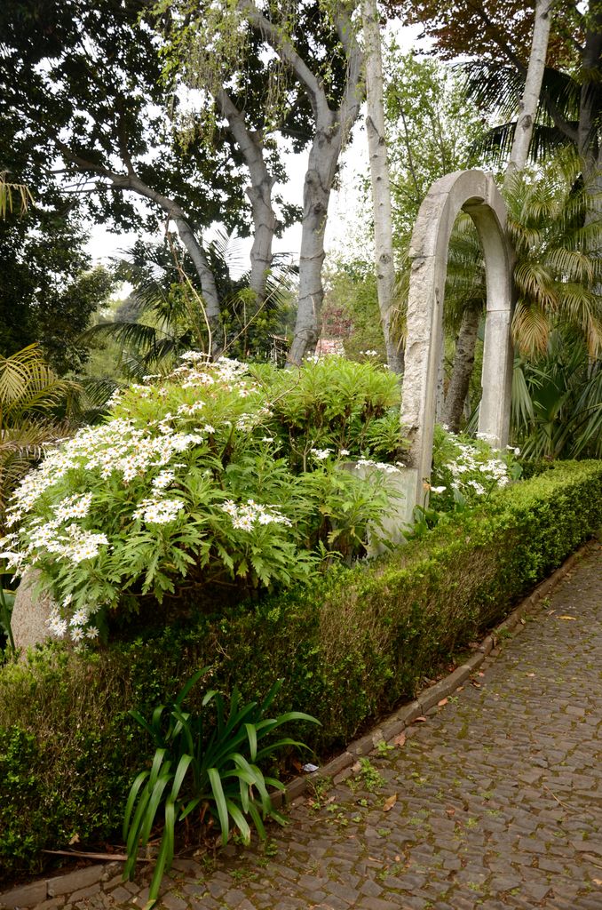 Flores blancas en el jardín