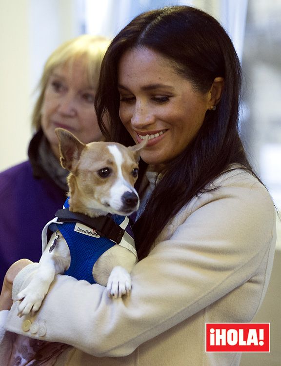 Meghan Markle revela que adoptar un perro le cambió la vida