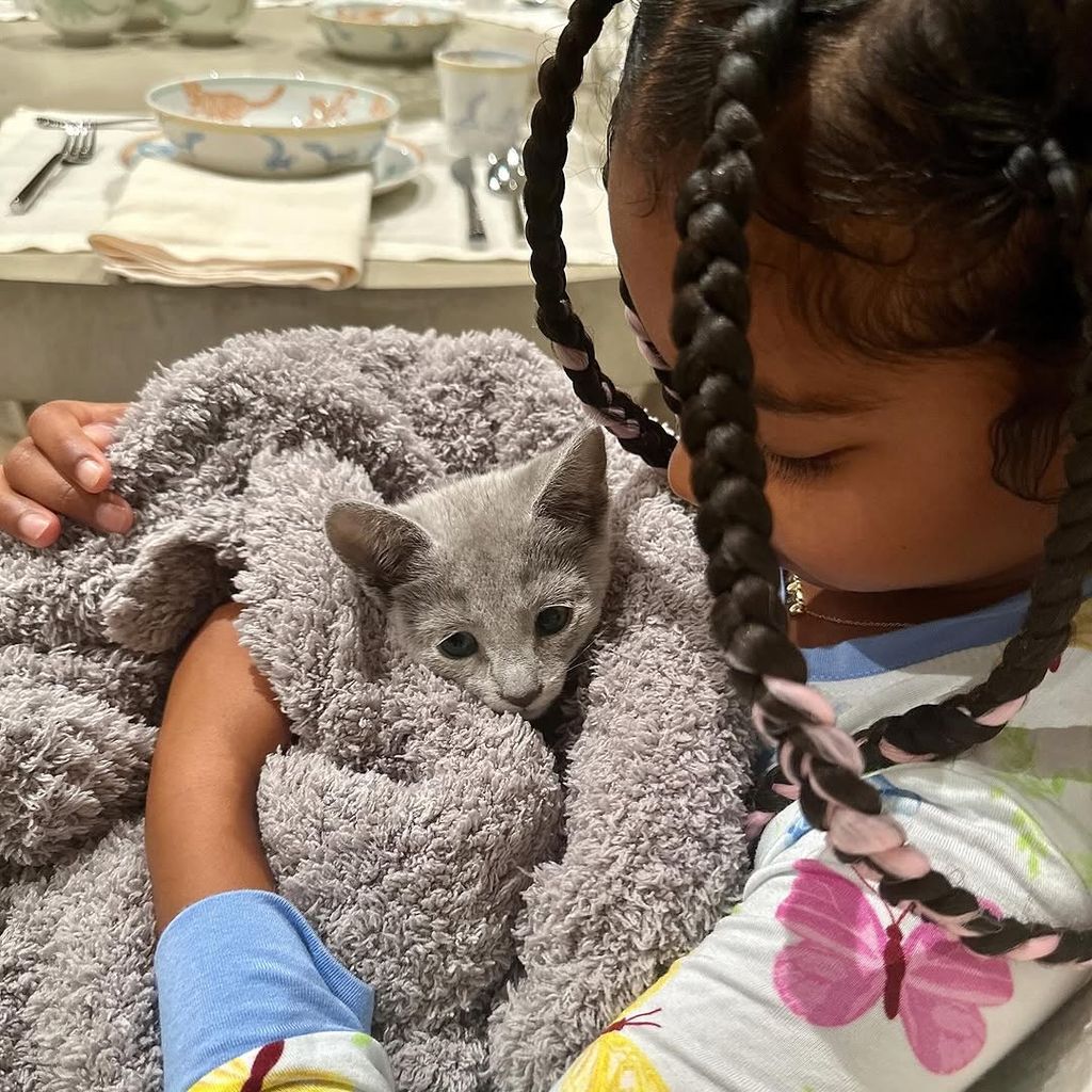 Para su sexto cumpleaños, True Thompson pidió un segundo gatito. Así que es casa, además de 'Peppermint' también hay dos felinos.