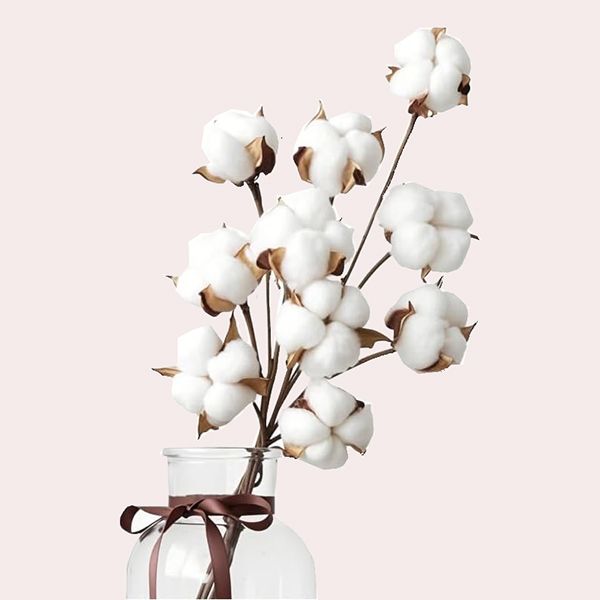 10 Ramas de Algodón Decorativas