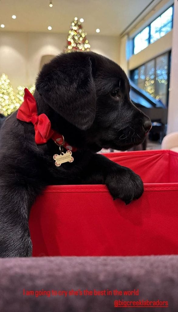 Khloé Kardashian estaba fascinado con el nuevo integrante de su familia.