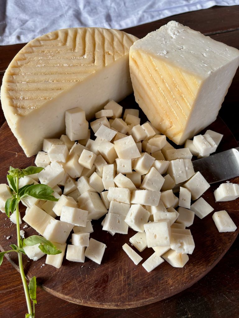 Queso de Fuerteventura