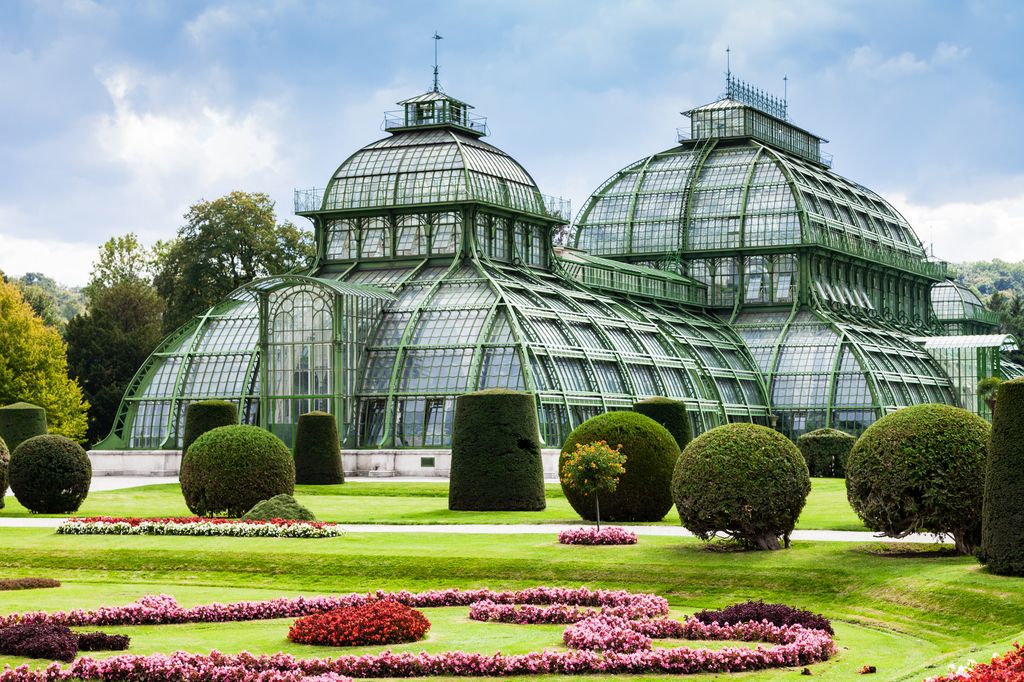 Palm House, Viena