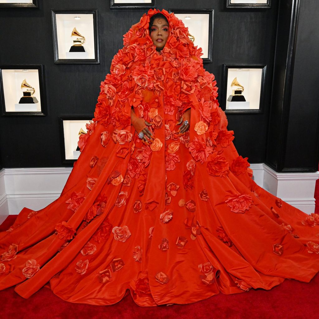 65th grammy awards red carpet