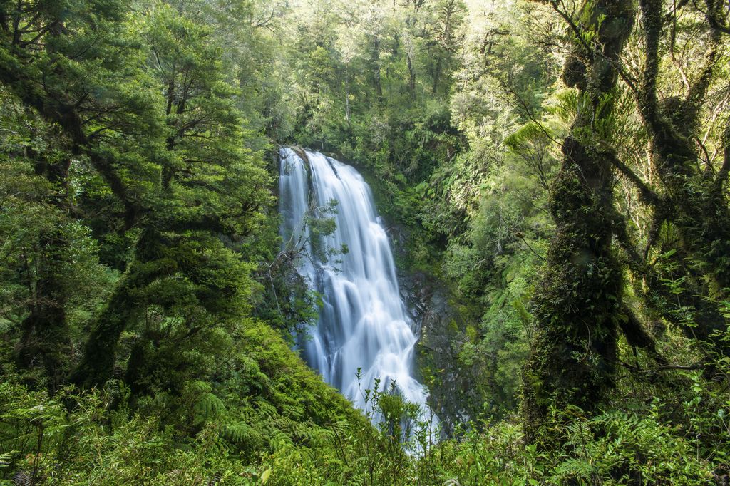 Una cascada se abre paso entre la selva del Parque Nacional Pumalín Douglas Tompkins, en la Patagonia chilena, uno de los espacios protegidos gracias al legado de Douglas Tompkins