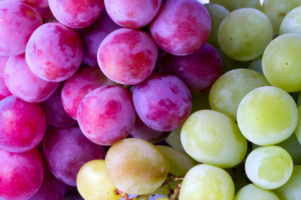 Uvas de temporada