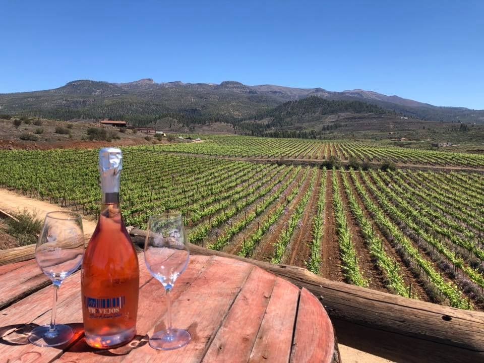 Bodega Altos de Trevejos