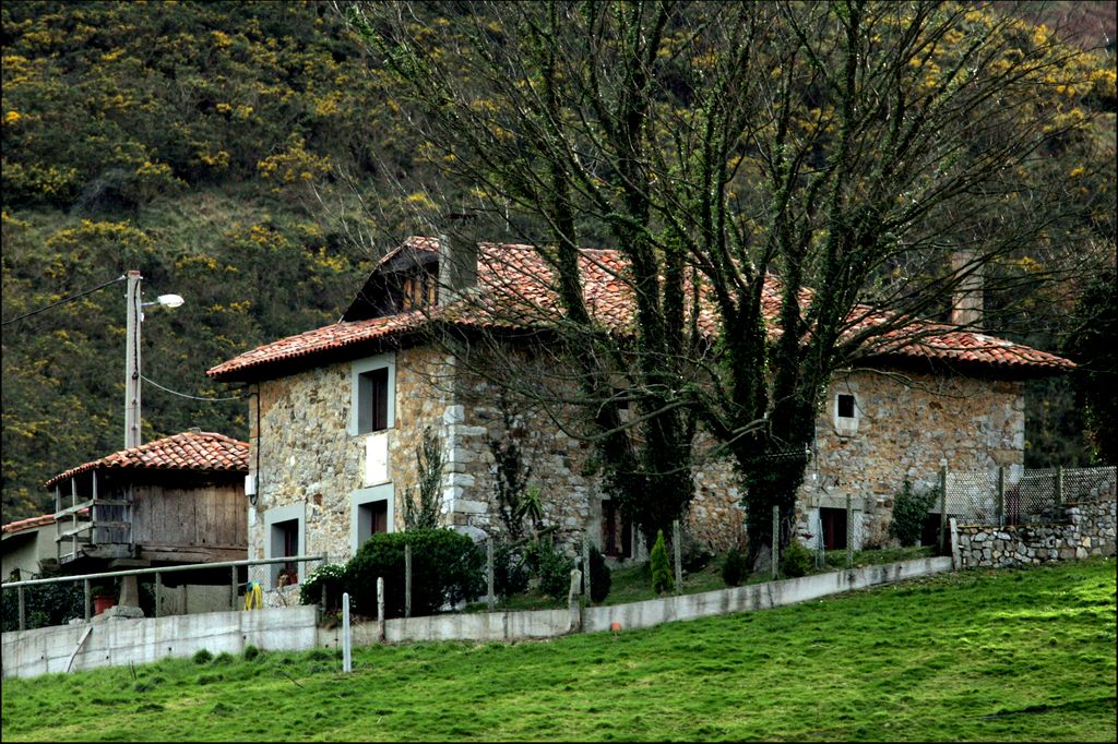  La casa es el ejemplo perfecto de cómo la arquitectura rural puede convertirse en inspiración decorativa contemporánea cuando se respetan los materiales originales y la conexión con el entorno