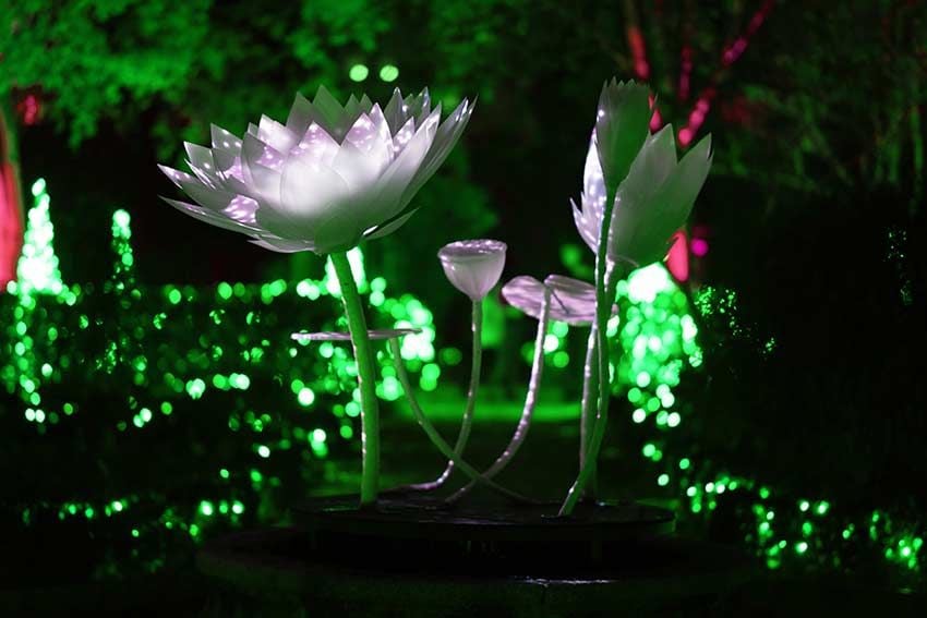Naturaleza-Encendida_jardin-botanico-madrid5