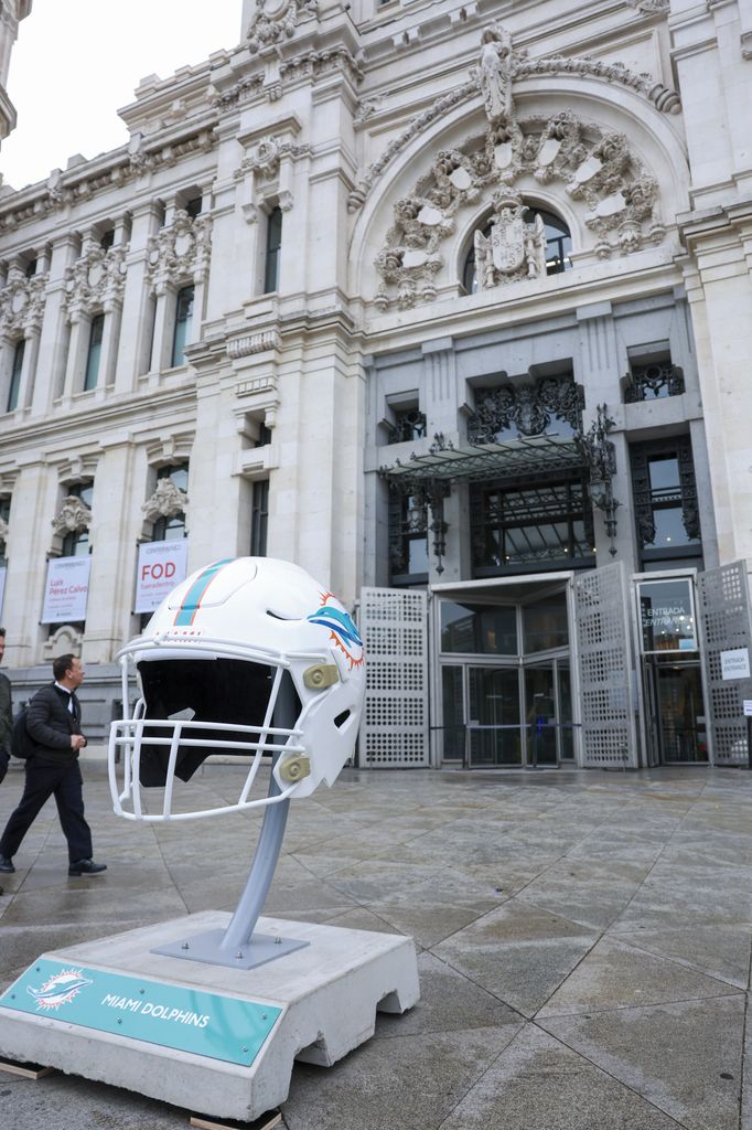 Casco de los Dolphins en Cibeles