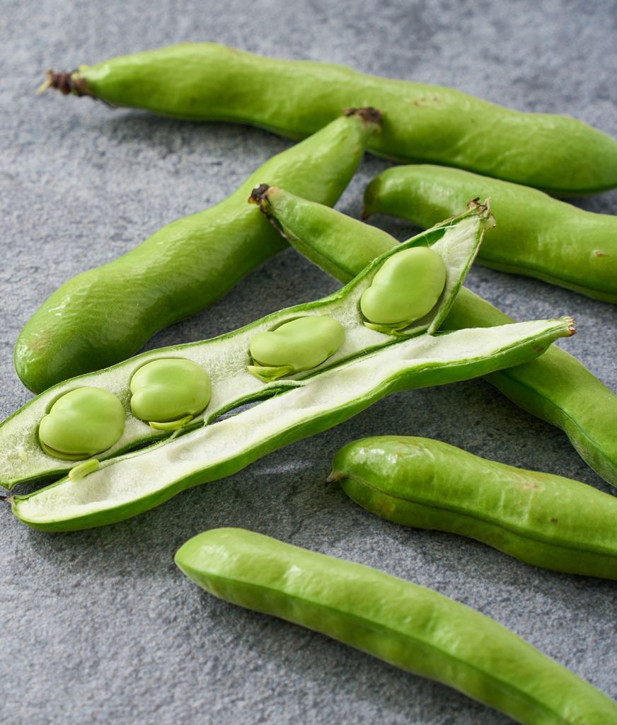 Cuando están frescas, las habas se asemejan más en composición a un vegetal que a una legumbre. 