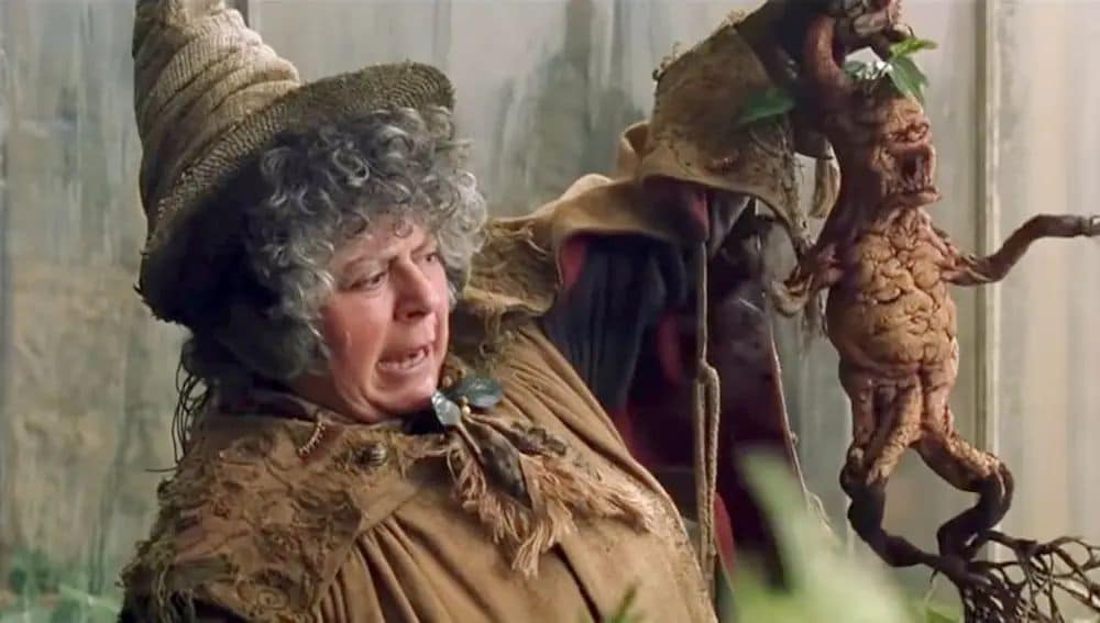  Miriam Margolyes ha dado vida a la profesora Promoa Sprout en la saga de 'Harry Potter'