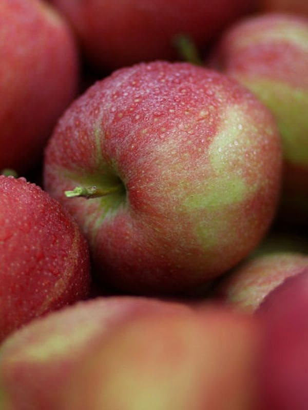 manzanas refrigeradas