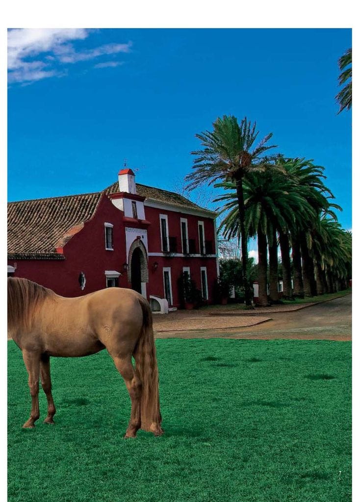 Finca sevillana de Bertín Osborne y Fabiola Martínez